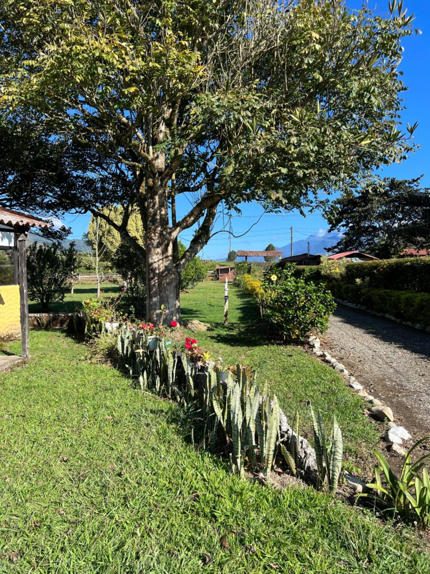 Finca Hotel Paraiso Urrao エクステリア 写真