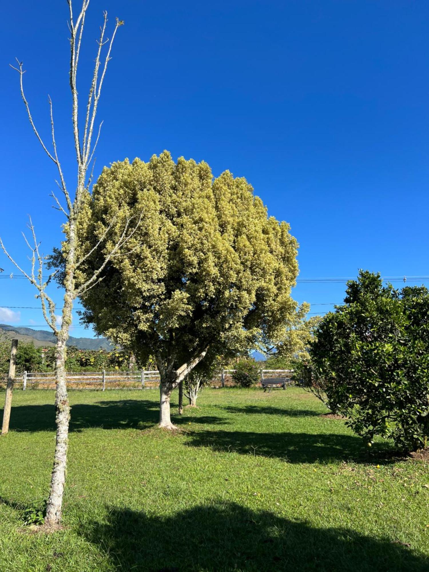 Finca Hotel Paraiso Urrao エクステリア 写真