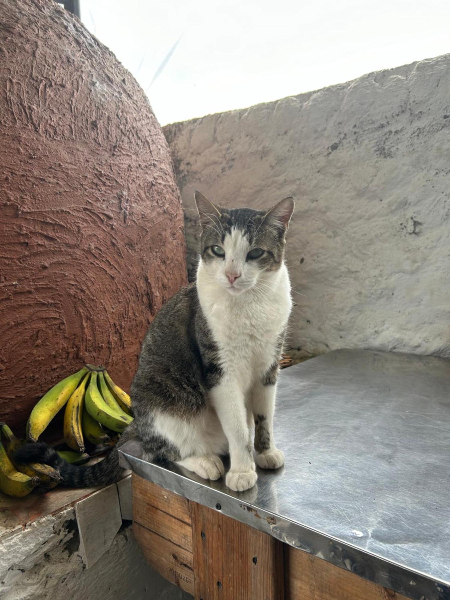 Finca Hotel Paraiso Urrao エクステリア 写真